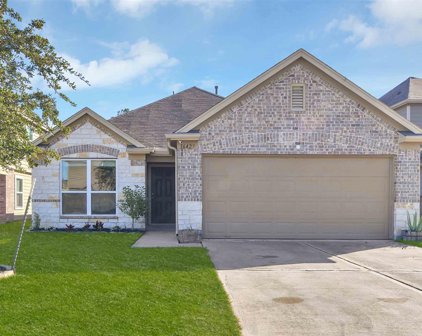 16429 Olive Sparrow Drive, Conroe