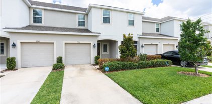 7946 Evergreen Creek Court, Riverview