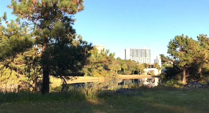 Lake in Ocean Village Community