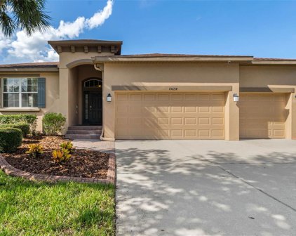 15654 Starling Water Drive, Lithia