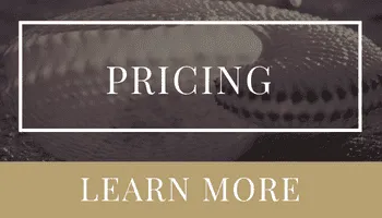 Intelligent Pricing Strategy | Ashley DeLong, Realtor