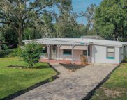 13908 Raulerson Road, Riverview image