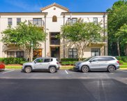 706 Westpark Way Unit 302, Celebration image