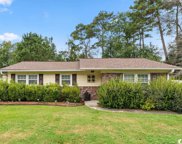 718 Gumbo Limbo Ln., Myrtle Beach image