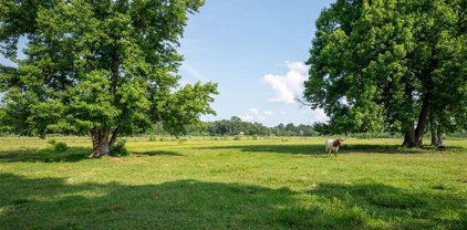 466 County Road 591, Kirbyville