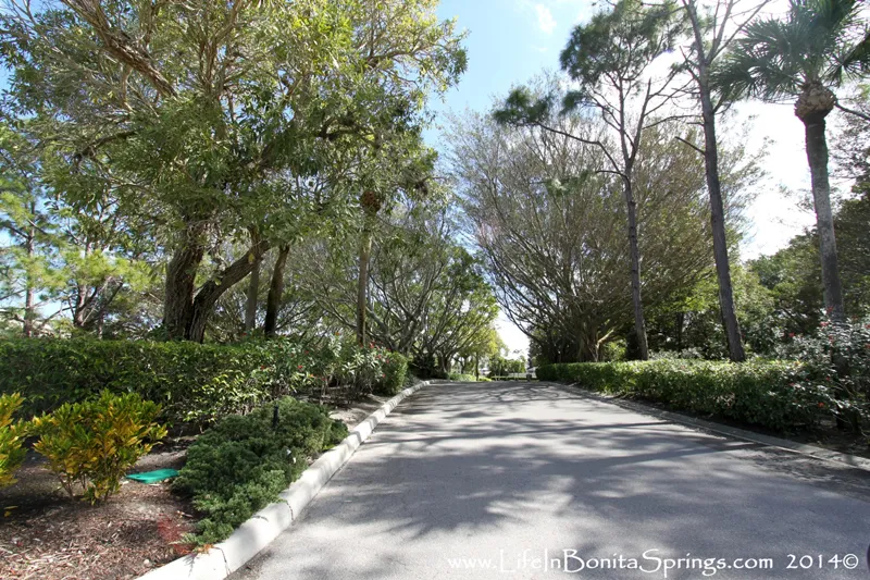 Vanderbilt Lakes Entry