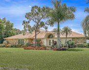16902 Timberlakes Drive, Fort Myers image