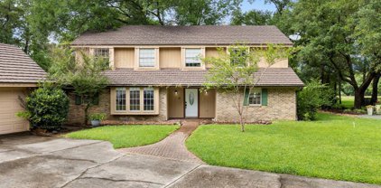 10816 Colony Wood Place, Spring