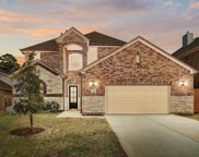 24110 Willow Rose Drive, Spring image