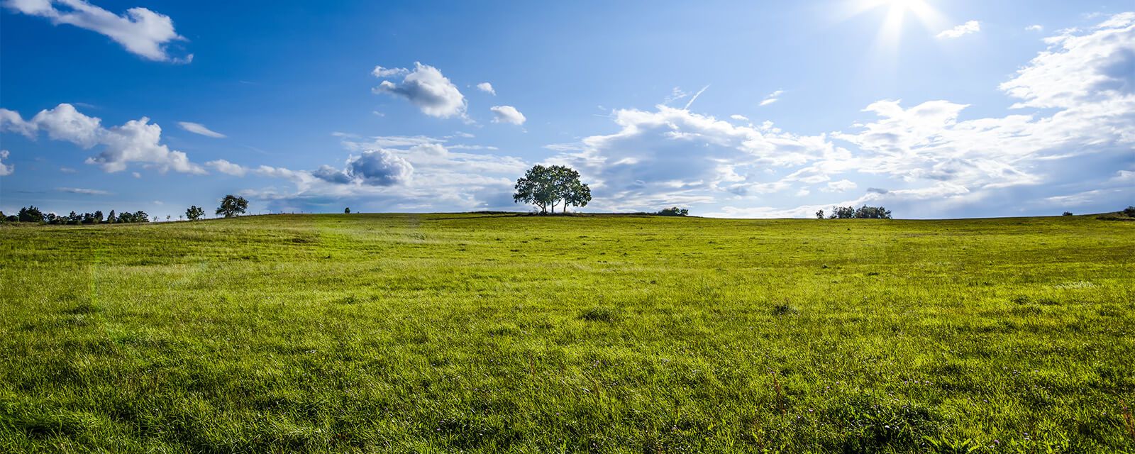 Greater Saginaw County Vacant Land Real Estate