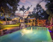 390 S Guenther Ave, New Braunfels image