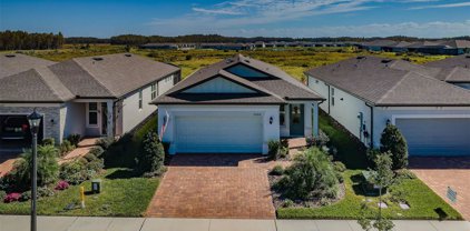 5664 Bay Tide Court, Land O' Lakes