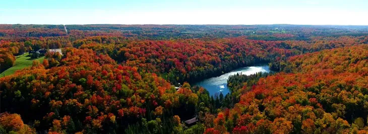 Houses For Sale In Caledon