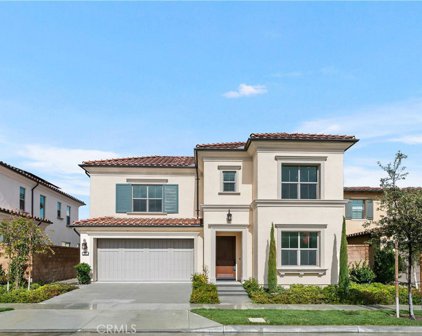 131 Parakeet, Irvine