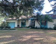 115 Lafayette Street, Ocoee image