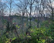 Lot 19 Sugar Maple Loop Rd, Sevierville image
