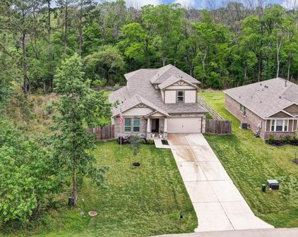 2339 La Salle Woods, Conroe