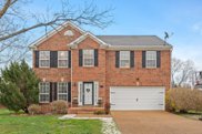 270 Canvasback Ct, Spring Hill image