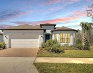 19517 Sea Glass Circle, Land O' Lakes image