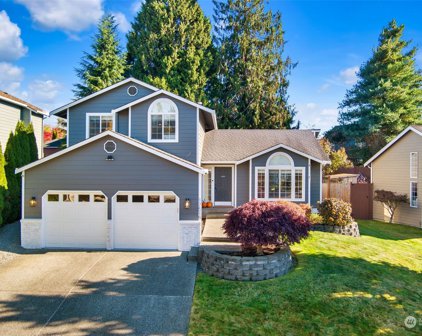 17519 Redhawk Drive, Arlington