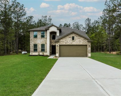 9689 Waller Street, Conroe
