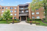263 S Clubhouse Drive Unit #306, Palatine image