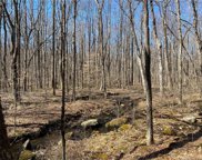 Andrew Mountain Road, Naugatuck image