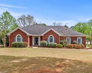 1240 Snow Hinton Drive, Tuscaloosa image
