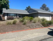 123 Old Oak Lane, Santa Rosa image