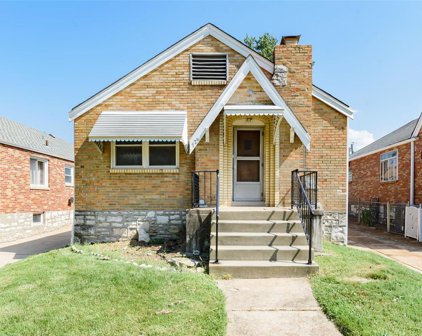 726 Dallas  Drive, St Louis