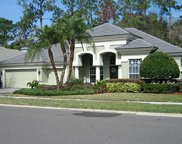 2891 Grey Oaks Boulevard, Tarpon Springs image
