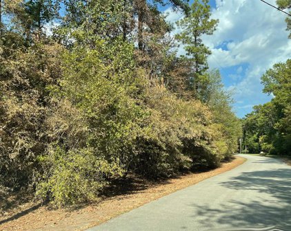 Kaleo Way, Conroe