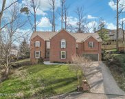 1216 Rain Tree Rd, Knoxville image