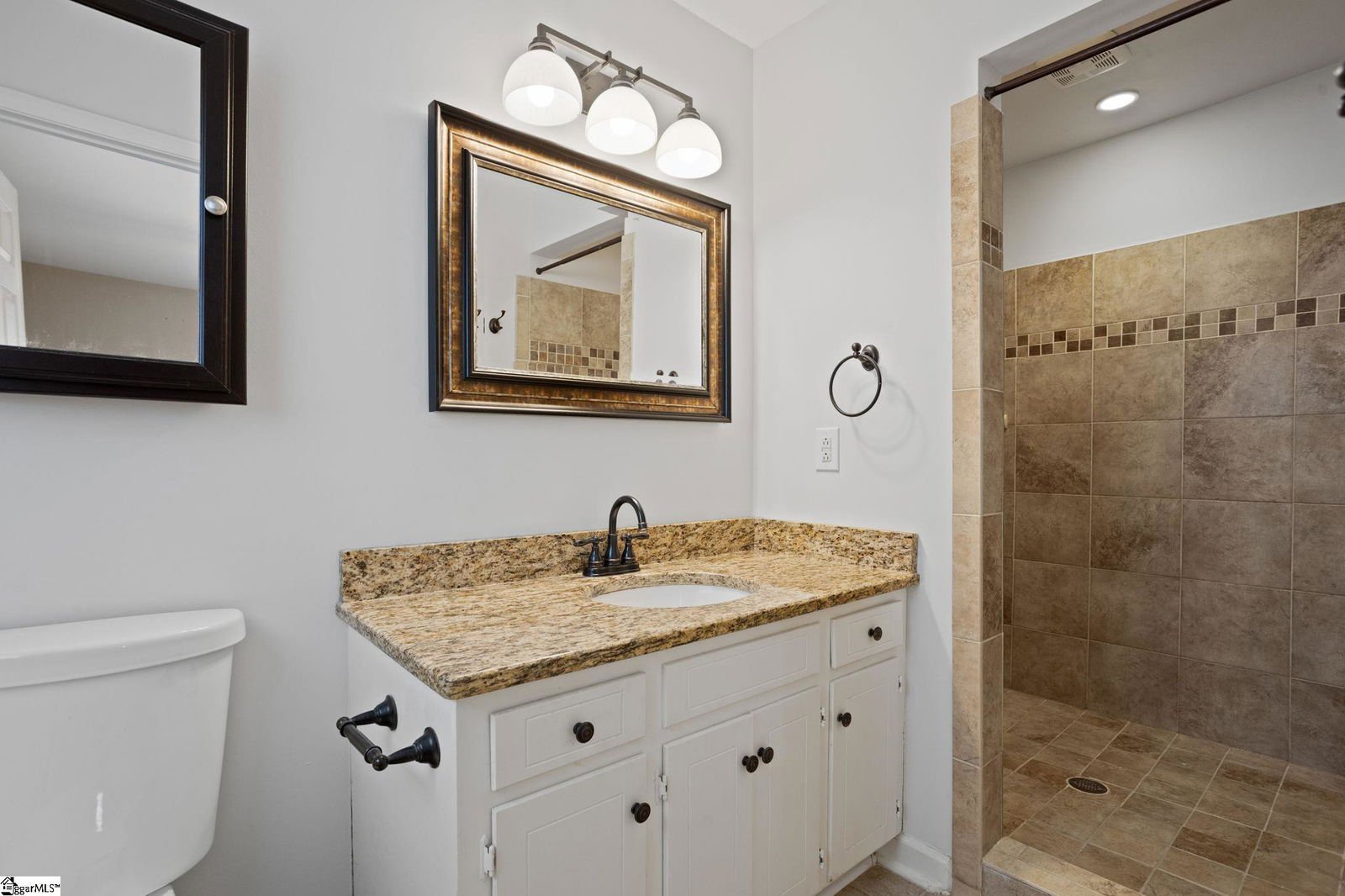 MLS 1520196 Devenger Place 504 Windward Way, Greer Property for Sale