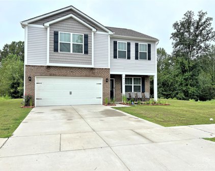 3117 Platinum Pointe  Drive, Charlotte