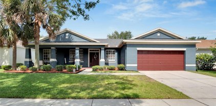11713 Holly Creek Drive, Riverview