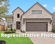 29451 Pearwood Drive, Katy image