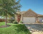 30707 Mint Trace Court, Spring image