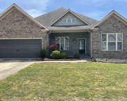 11617 Belle Meade Circle, Northport image