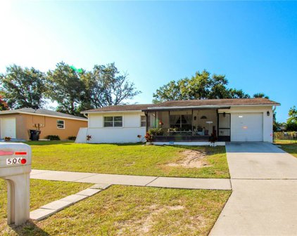 506 Falkirk Avenue, Valrico