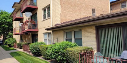 5509 W Higgins Avenue Unit #1C, Chicago