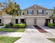 10425 Red Carpet Court, Riverview image