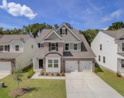 113 Berry Hollow Road, Summerville image