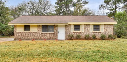 3325 YOUNG FOREST Drive, Augusta