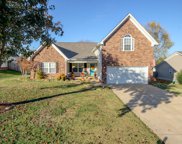 1807 Packard Ct, Spring Hill image