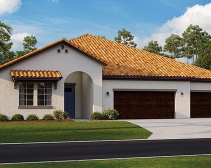 5361 Windy Grove Drive, Wimauma
