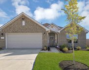 18903 Cedar Moss Court, New Caney image