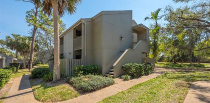 119 Woodland Place, Osprey