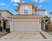 12424 Abbey Park, San Antonio image