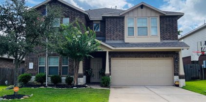 155 Meadow Grove Drive, Conroe